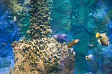 Similar image 18510890