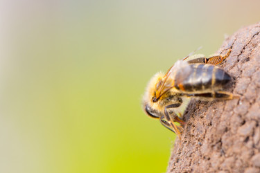 Similar image 18510781