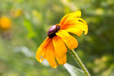 Similar image 18510732