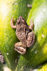 Similar image 18510734