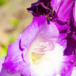 Similar image 18510736