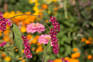 Similar image 18510737