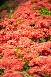 Similar image 18510740