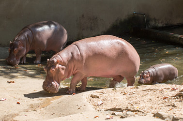 Similar image 18510742