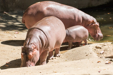 Similar image 18510759