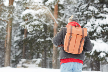 Similar image 17817383