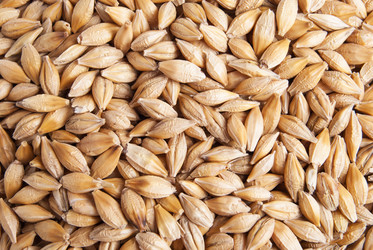 Similar image 17817158