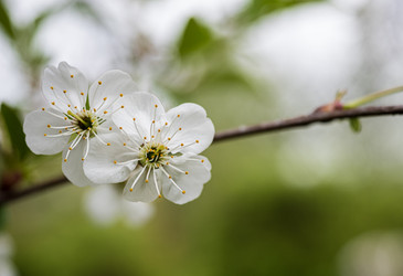 Similar image 17816864