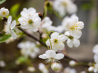 Similar image 17816868