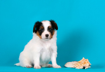 Similar image 17816905