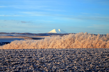 Similar image 18512111