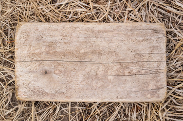 Similar image 18512383