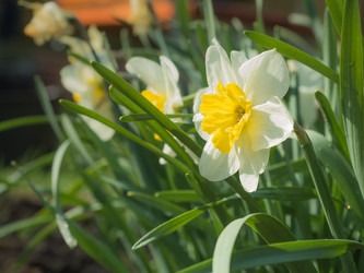 Similar image 18508612