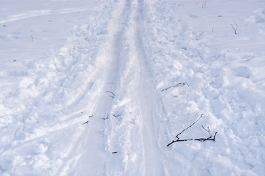 Similar image 18508851