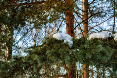 Similar image 18508856