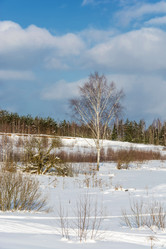 Similar image 18509403