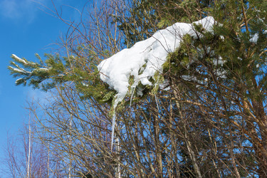 Similar image 18509404