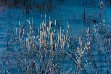 Similar image 18509405