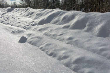 Similar image 18509406