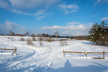 Similar image 18509448