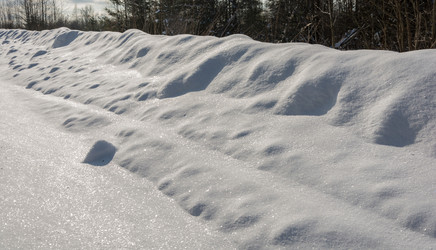 Similar image 18509450