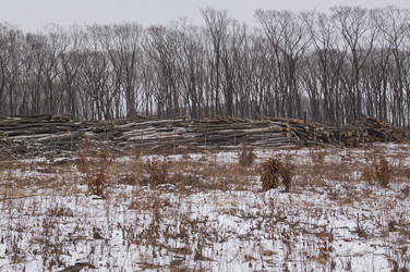 Similar image 18512364