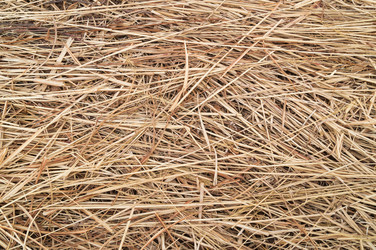 Similar image 18512365