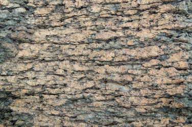 Similar image 18512387