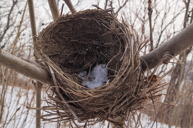 Similar image 18512394