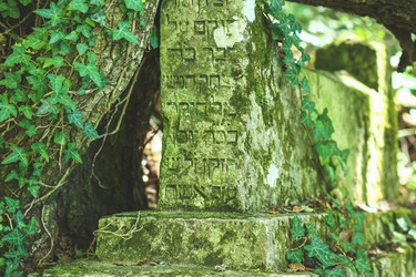 Similar image 18510294