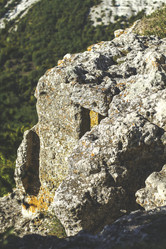 Similar image 18510306