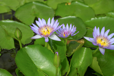 Similar image 18510311