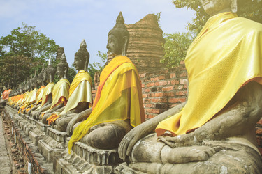 Similar image 18510319