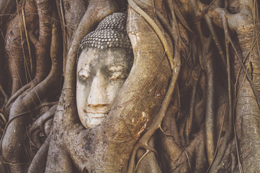 Similar image 18510326