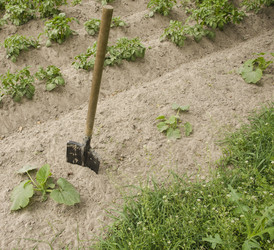 Similar image 18508820