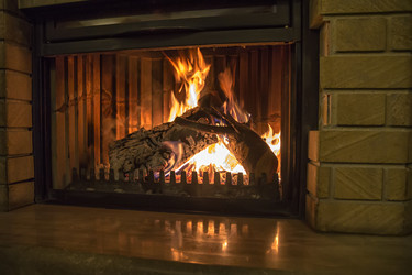 Similar image 18509673