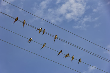 Similar image 18509674