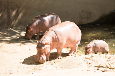 Similar image 18510788