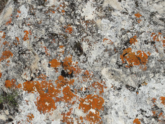 Similar image 18509051