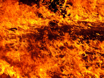 Similar image 18509071