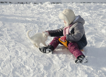 Similar image 18508839