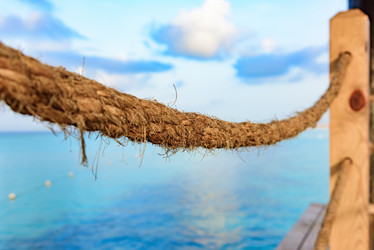 Similar image 18137892