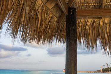 Similar image 18546553