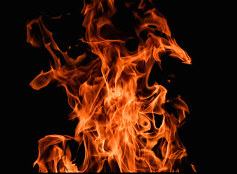 Similar image 18547159