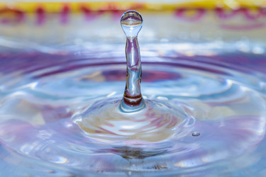 Similar image 18561206