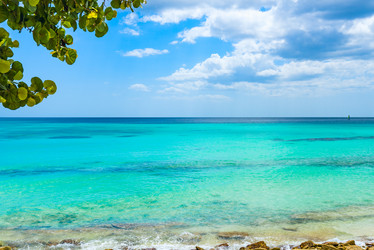 Similar image 18567004