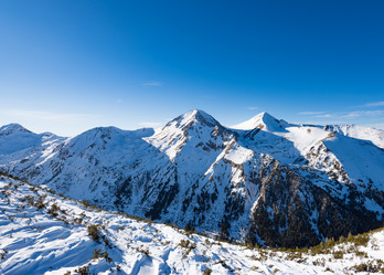 Similar image 18569591