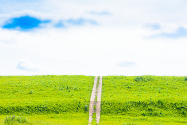 Similar image 18137241