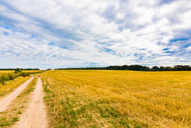 Similar image 18137305