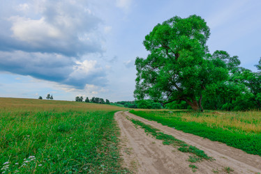 Similar image 18137323